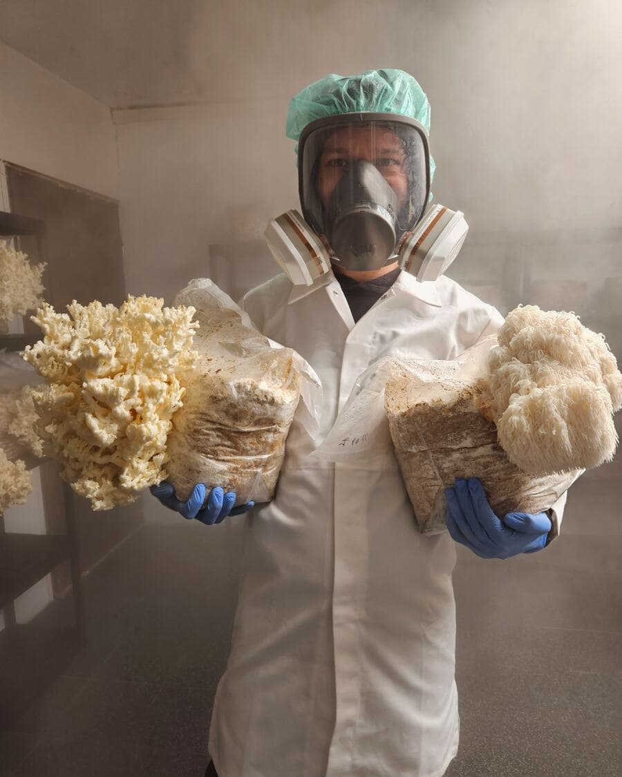 Uzgoj gljiva u laboratoriju sa zaštitnom opremom.