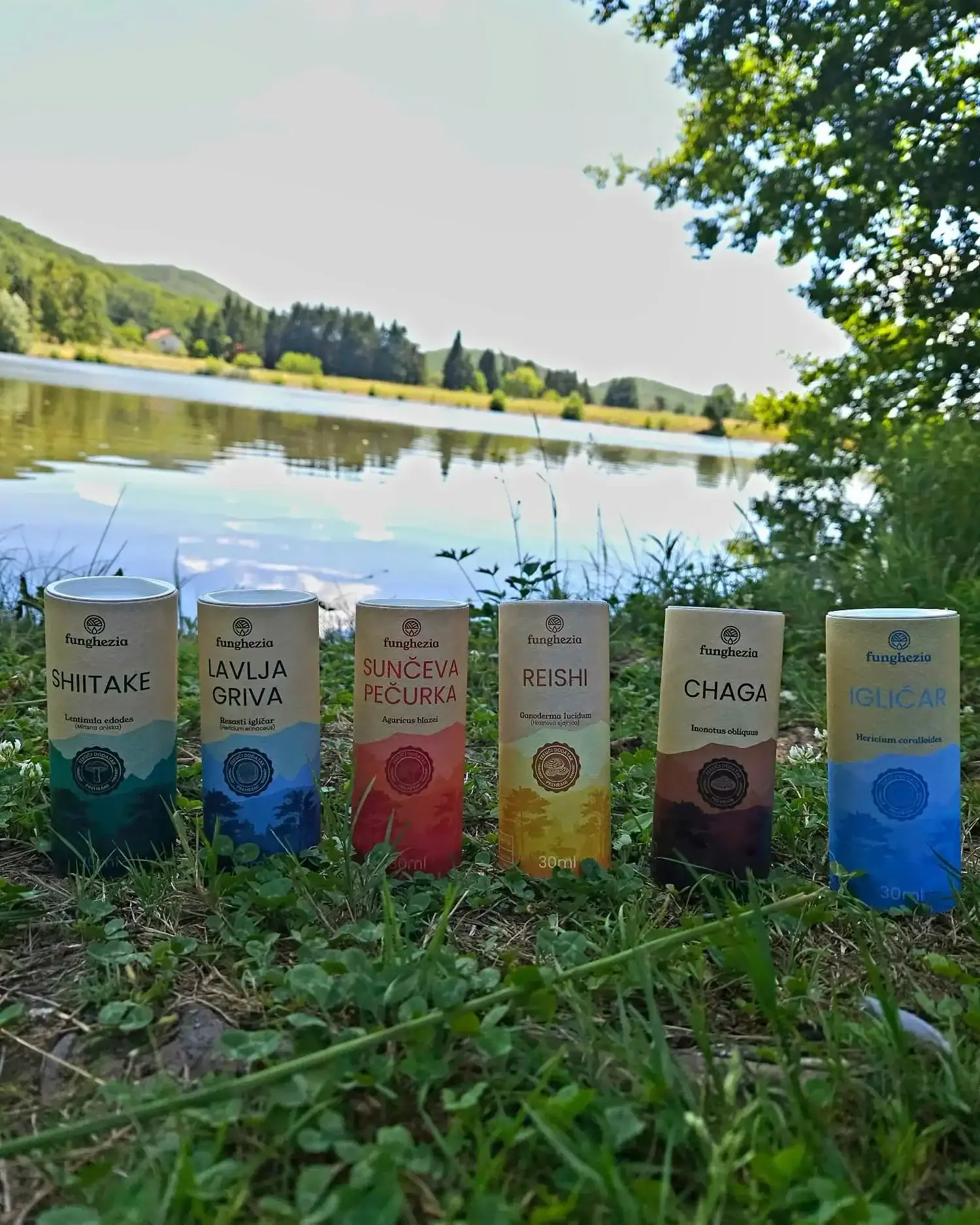 Raznolikost gljiva u prirodi s etiketama za zdravlje i prehranu.